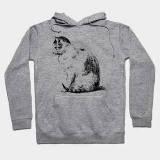 Sitting Cat Hoodie